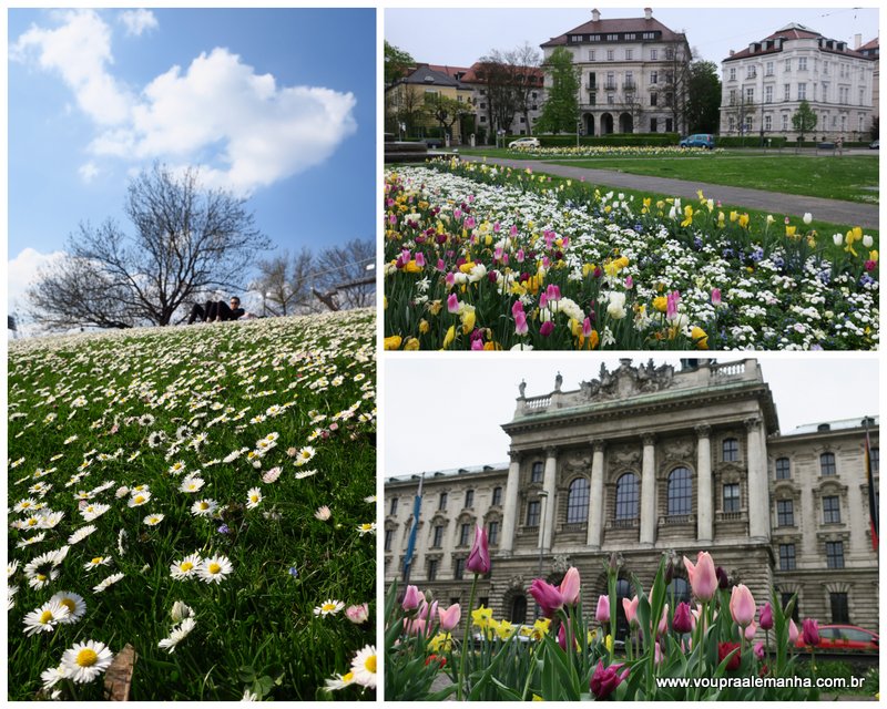 Toda a beleza da Primavera em Munique