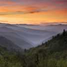 Companion32236293550 Avatar