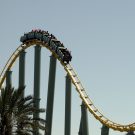 isadorafelskidas Avatar