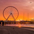 JulianaRicci908 Avatar