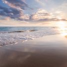 NorthStar65509461659 Avatar